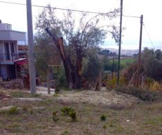 A VENDRE TERRAIN POUR VILLA A KUSADASI