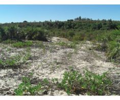 Terrain constructible en bord de plage 300000m² (30ha) – Madagascar