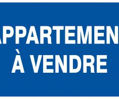 JOLI APPARTEMENT A VENDRE