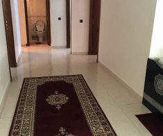 appartement en location meublee