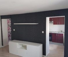 A louer superbe DUPLEX RENOVE NANCY proche ICN,Fac lettres