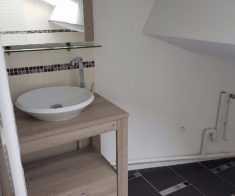 A louer superbe DUPLEX RENOVE NANCY proche ICN,Fac lettres