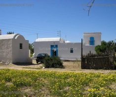 Un beau terrain a djerba midoune