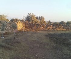 Terrain/Land 1700m2 Essaouira,Morocco