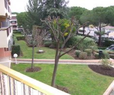 location appartement avec piscine sur canne mandelieu