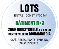 Lots ZONE INDUSTRIELLE MANSOURIA