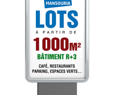 Lots ZONE INDUSTRIELLE MANSOURIA