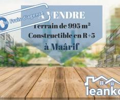 Terrain de 995 m² à vendre à Maarif