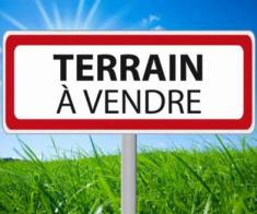 Terrain en Zone Immeuble a la vente a AIN BORJA